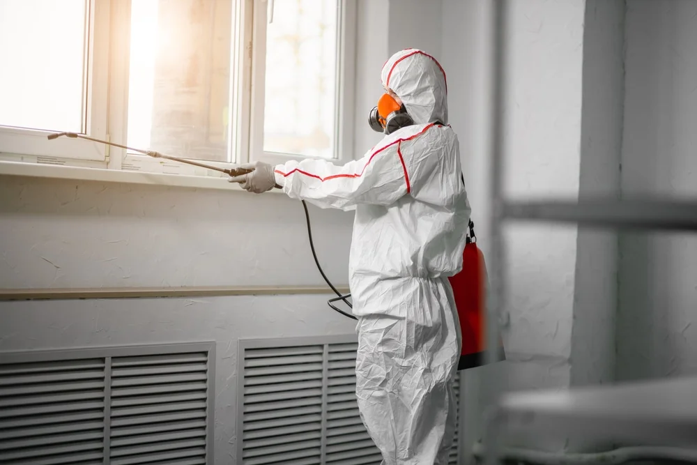 Professional mold remediation services in Shalimar, FL